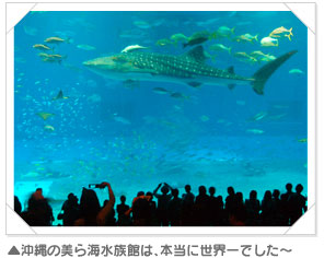 レクリエーション2