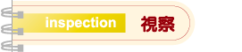 視察